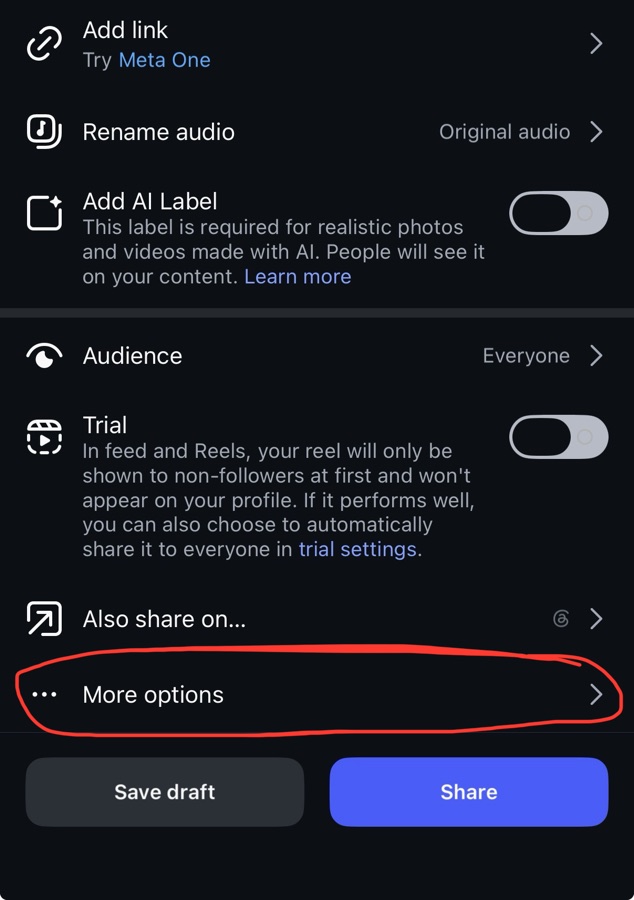 Instagram's final screen before sharing, with More options circled