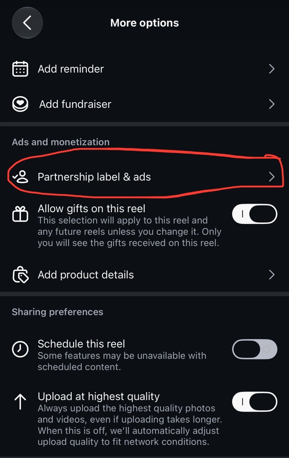 Instagram More options screen with Partnership label and ads circled